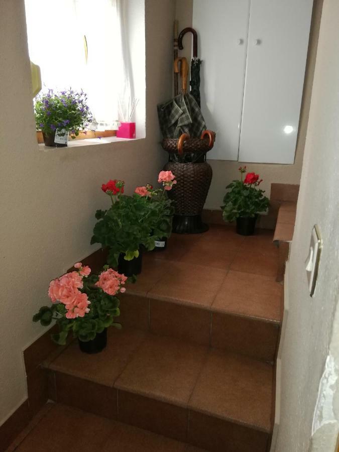 El Mirador 2 Holiday home *